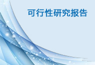 可行性研究報告